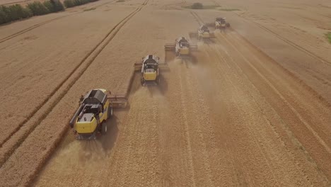 Aerial-shot-of-a-group-of-combine-harvesters-collecting-wheat-during-harvest-season-and-kicking-up-dust-during-the-process