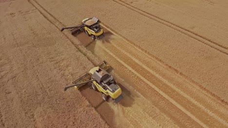 Aerial-top-down-view-of-a-row-of-combine-harvesters-working-in-unison-to-collect-golden-wheat-during-harvest-season