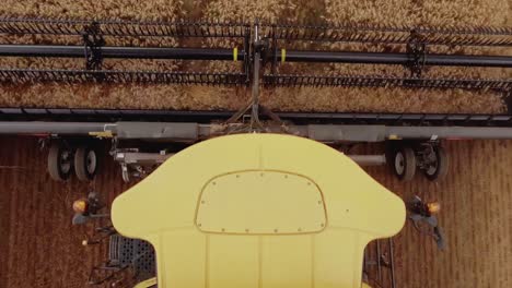 Amazing-closeup-aerial-view-of-a-combine-harvester-collecting-wheat-on-a-golden-wheat-field