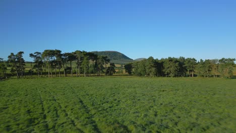 Tiefflug-über-Trockenmauer-über-Grünem-Feld,-In-Richtung-Und-Zwischen-Kiefern-Und-In-Richtung-Bewaldeter-Hügel.-Great-Mell-Fiel-An-Einem-Sonnigen-Sommermorgen-Im-Englischen-Lake-District,-Cumbria,-Großbritannien