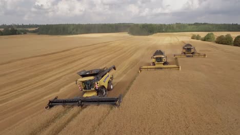 Camera-flying-over-a-row-of-combine-harvesters-collecting-wheat-on-a-beautiful-golden-field