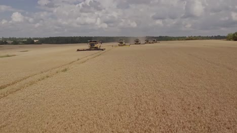 Cinematic-shot-of-a-group-of-combine-harvesters-on-a-golden-wheat-field-during-harvest-season