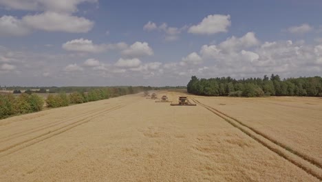 Aerial-view-of-a-team-of-combine-harvesters-collecting-wheat-on-a-golden-wheat-field-during-harvest-season
