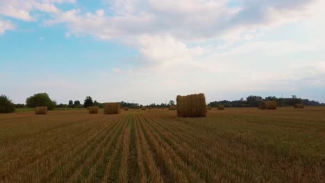 the-Field-With-Hay-Rolls