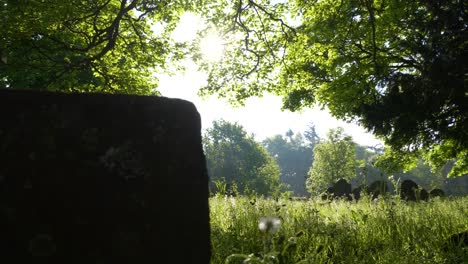 Überwuchertes-Gras-Auf-Dem-Verlassenen-Keltischen-Friedhof-In-Der-Grafschaft-Wexford-In-Irland