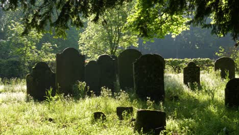 Forbidden-Celtic-Graveyard-With-Headstones-Covered-In-Moss-Near-County-Wexford-During-Sunny-Day-In-Ireland