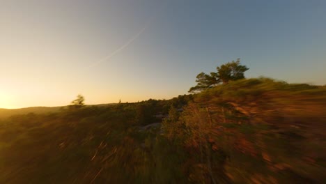 FPV-drone-low-altitude-flight-passing-Swedish-coastline-forest-tree-tops-during-summer-sunset