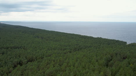 Expansive-view-of-a-dense-forest-meeting-the-sea-under-a-cloudy-sky---Stegna,-Poland