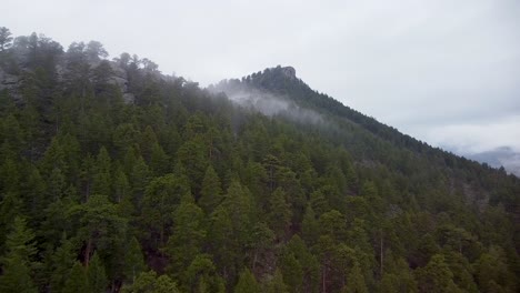 Aerial-view-of-Eagle-Cliff-Mountain-with-fog-over-forest-trees
