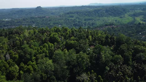 Aerial-view-over-the-picturesque-Sidemen-Valley-in-Bali,-Indonesia-with-a-view-of-the-tropical-forest-area-including-coconut-palms-and-dense-forest-on-an-adventurous-journey