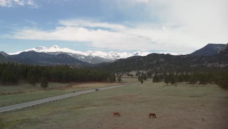 Aerial-ascent-backup-of-horses-eating-in-ranch-pasture-with-mountains-in-background,-Rocky-Mountains,-Estes-Park,-Colorado
