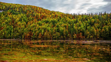 Timelapse-on-the-bank-of-the-beautiful-lake-Toplitz-in-Austria-with-floating-leaves-in-the-water-and-view-of-the-colorful-dense-forest-in-autumn-with-drifting-clouds