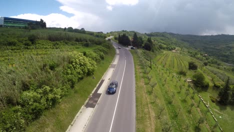 Drone-shot-of-a-car-going-down-the-road-through-a-vineyard-on-both-sides