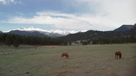 Aerial-view-of-horses-eating-in-ranch-pasture-with-mountains-in-background,-Estes-Park,-Colorado
