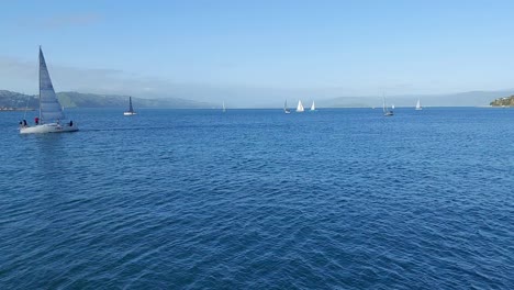 Yachts-sailing-in-the-Wellington-harbor,-New-Zealand