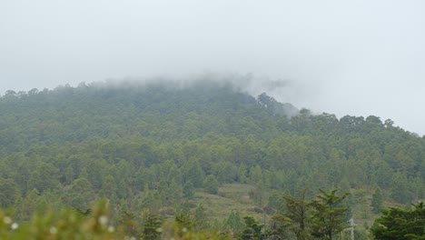 Berge-Bedeckt-Mit-Dichtem-Nebel-Auf-Dem-Gipfel-Auf-Teneriffa,-Statisches-Handheld