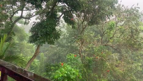 Slow-mo-balcony-view-of-a-Bali-rainforest-storm
