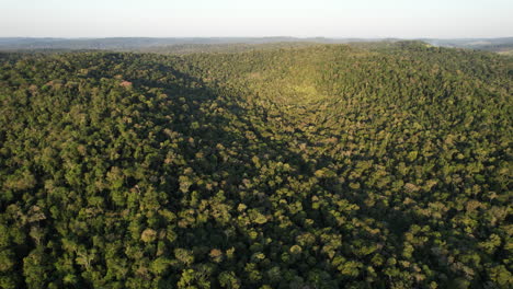 Luftaufnahme-Des-Hügeligen-Tropischen-Regenwaldes,-üppiger-Dschungel-In-Argentinien