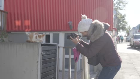 Slow-motion-shot-of-a-female-tourist-taking-a-photo-of-a-cat-on-the-wall