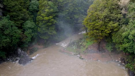 Scenic-view-of-Otuihau-Whangārei-Falls-during-floods-with-misty-spray-over-forest-of-trees-in-Northland,-New-Zealand-Aotearoa