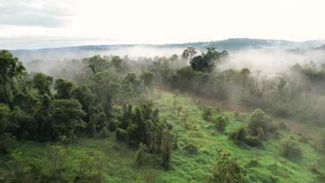 Foggy-White-Grey-Clouds-Sit-Low,-Tropical-Rainforest