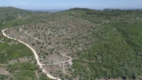 Aerial-View-of-Mountain-Path-and-Olive-Trees-Plantation