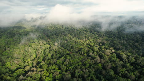 Aerial-Wide-Angle-View-Of-A-Tropical-Jungle-With-Low-Sitting-Clouds