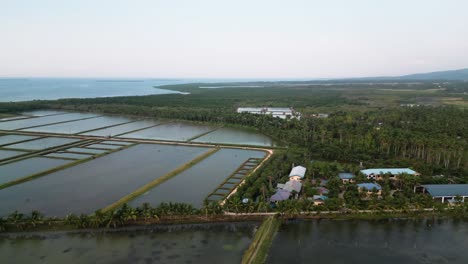 Luftaufnahme-Des-Milchfischteich-Farmreservoirs-In-Der-Nähe-Der-Küste,-Philippinen