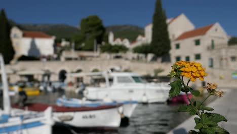 Boats-in-picturesque-seaside-town-harbor,-Bol,-Brac,-Croatia