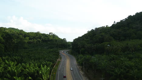 Aerial-flying-over-road-in-Krabi-province,-mountains-with-palm-trees,-Thailand