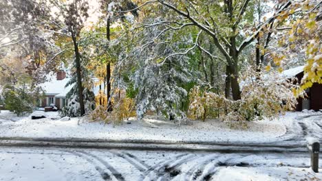 Nieve-Derretida-Densamente-Poblada-En-Los-árboles-Después-De-La-Tormenta-De-Nieve-De-Halloween