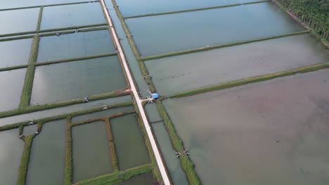 Milkfish-farm-pond-reservoir-symmetrical-lines-aerial-view,-Philippines