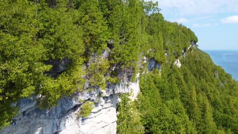 High-Rocky-Cliff-Forest-Aerial-with-Birds-Flying-in-Background-in-Georgian-Bay,-Ontario,-Canada