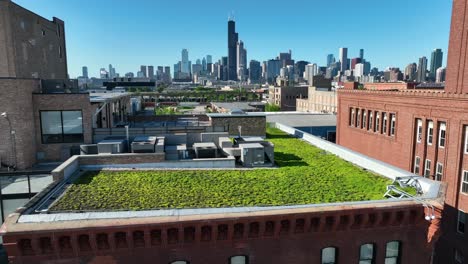 Green-roof-on-building-in-downtown-Chicago