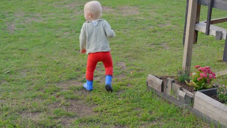 Rear-shot-of-toddler-walking-on-grass-in-garden-outdoor-with-red-pants-and-boots