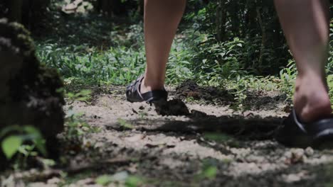 Rear-view-of-a-woman's-feet-walking-in-a-forest