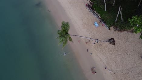 Children-playing-with-palm-tree-rope-swing-at-Itaytay-beach-of-port-barton,-Aerial