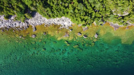 Aerial-headshot-of-Beautiful-rocky-beach-on-Georgian-Bay-with-clearly-water,-Ontario,-Canada