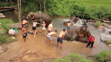 Turistas-Europeos-Bañando-Y-Salpicando-Elefantes-Con-Agua-De-Arroyo-En-El-Santuario