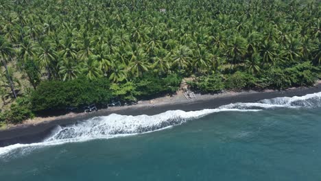 Secret-Oasis:-Aerial-4K-Drone-View-of-a-Lone-Girl-Wandering-the-Untouched-Black-Sand-Beach-in-Gretek,-Bali