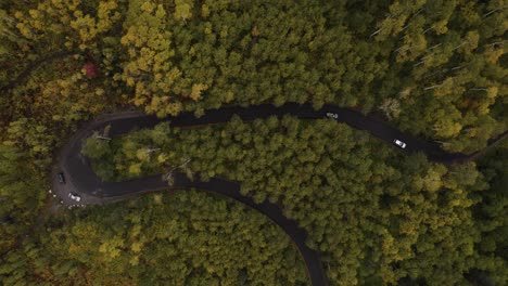 Cars-driving-over-a-black-asphalt-road-between-autumn-colored-trees