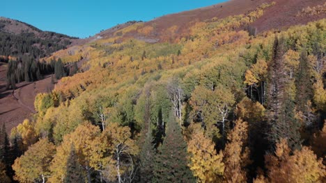 Schneller-Luftüberflug-über-Goldenen-Herbstbäumen-Auf-Dem-Guardsman-Pass-In-Utah,-USA