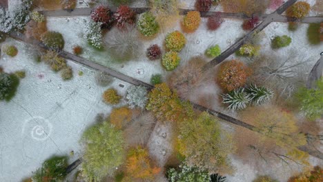 Herbstliche-Eleganz:-Schneebedeckte-Blätter