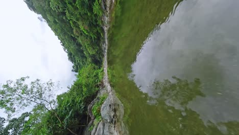 Vertical-video,-cinematic-flight-over-reflective-green-pond-in-tropical-forest