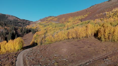 Schnelle-Luftaufnahme-Goldener-Herbstbäume-Im-Herbst-In-Utah,-USA