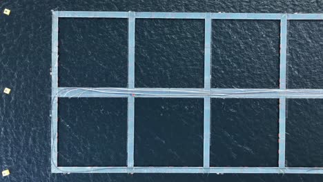 Empty-floating-square-fish-farm-cages,-birdseye-aerial-moving-right