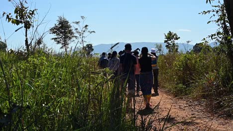 Silhouette-of-people-hiking-on-a-trail-as-they-stopped-for-a-while-to-look-into-something,-Khao-Yai-National-Park,-Thailand