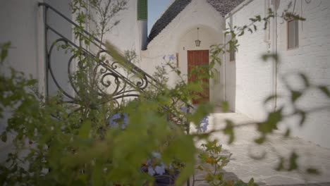 cute-door-of-a-white-house-with-plants-in-alberobello