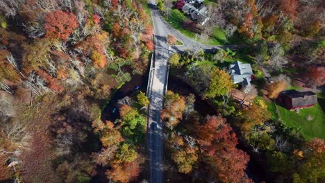 A-top-down-aerial-view-over-a-quiet-country-road-with-colorful-trees-on-both-sides-on-a-sunny-day-in-autumn