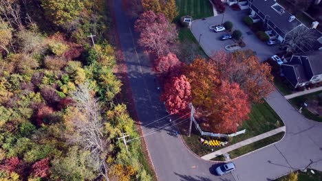 An-aerial-view-of-a-two-lane-road-with-houses-and-a-field-of-trees